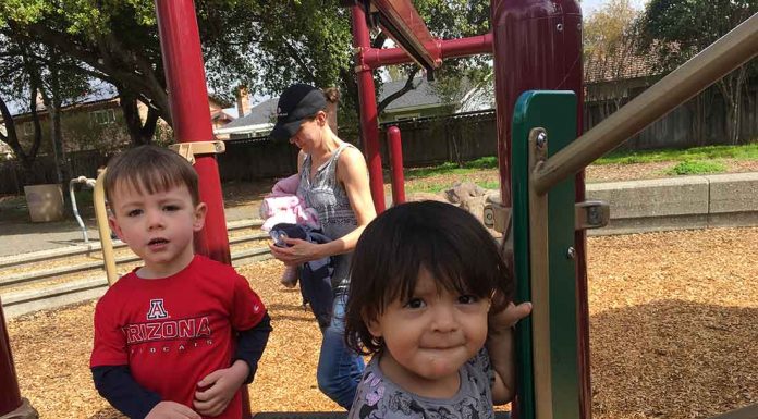 City aims to fight weeds without chemicals