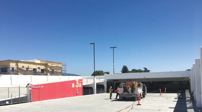 Live Oak Alumna Killed Tuesday