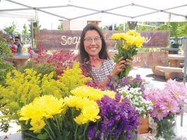 Guest view: Donate to help our furry and fine-feathered friends