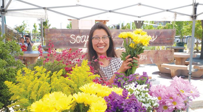 Guest view: Donate to help our furry and fine-feathered friends