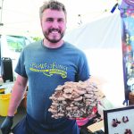 Image for display with article titled Mushroom fest returns with big changes for 2023