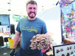 Mushroom fest returns with big changes for 2023