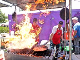 2024 Mushroom Festival coming to downtown Morgan Hill
