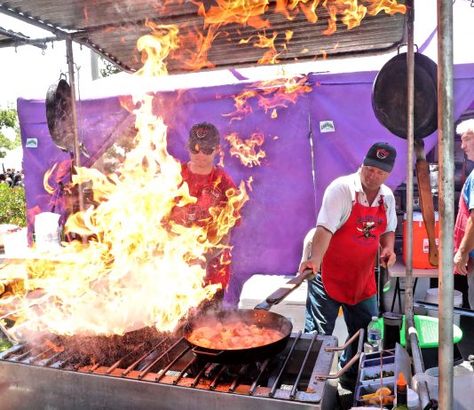 2024 Mushroom Festival coming to downtown Morgan Hill