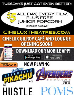 Sheriff’s log: Spike in vehicle thefts in South County