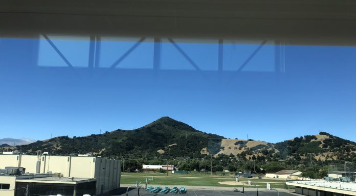 Police: Drunk driver rams three patrol cars, gets pepper sprayed