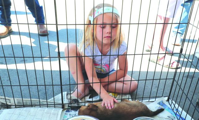 Family, friends remember MMG founder