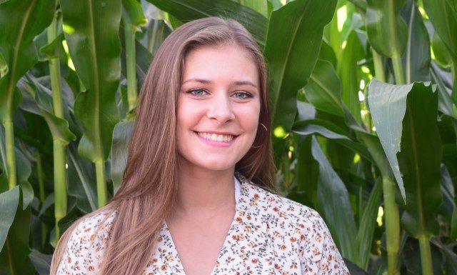 Search for burglary suspects leads to multiple arrests