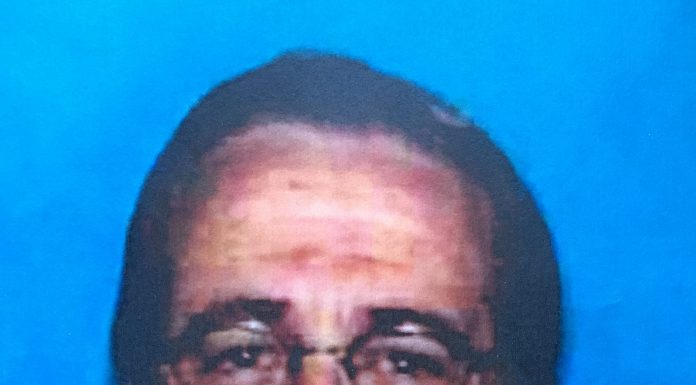 Live Oak baseball to open playoffs at San Lorenzo Valley