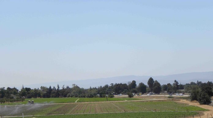 Give your stuff another chance during South County’s Second Chance Week