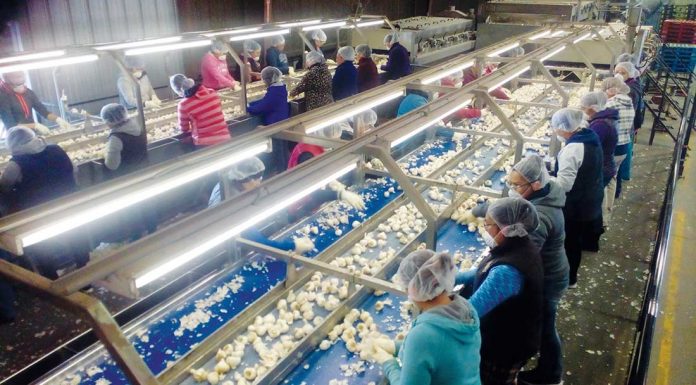 ‘Tosca’ features searing drama and music