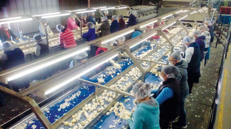 ‘Tosca’ features searing drama and music