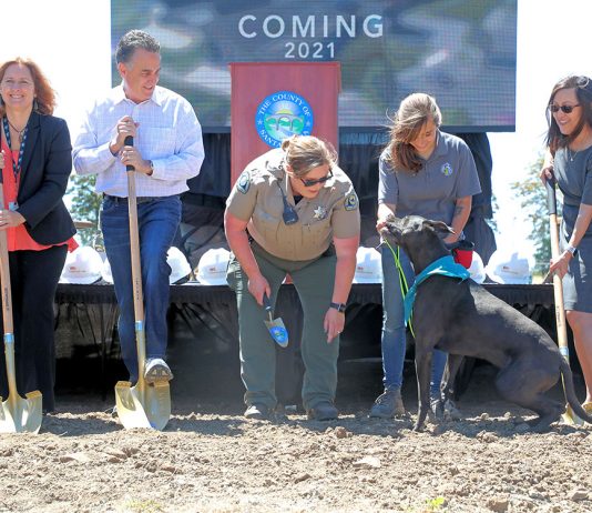 Construction underway for new animal shelter