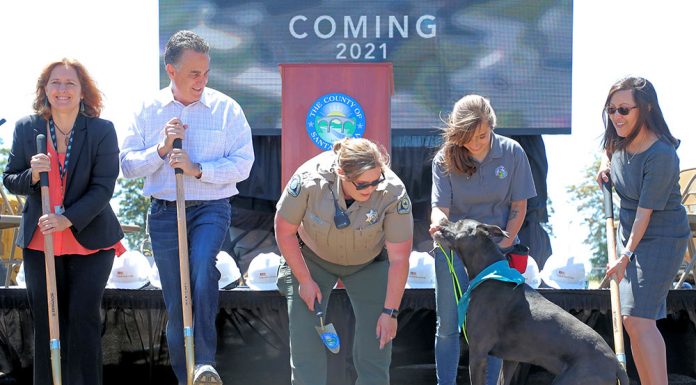 Construction underway for new animal shelter