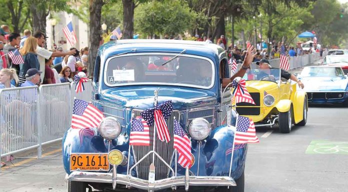 Gardeners celebrate ‘Soil Art Day’