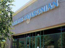 Plant sale raises funds for public gardening