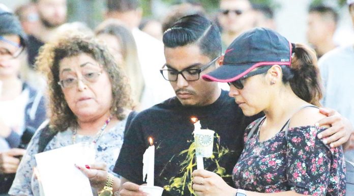 Hollister Hills deaths raise concern