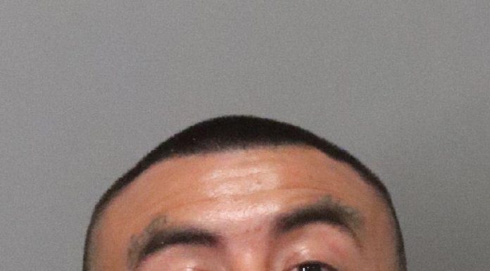 Woodworker introduces Swedish-style techniques locally