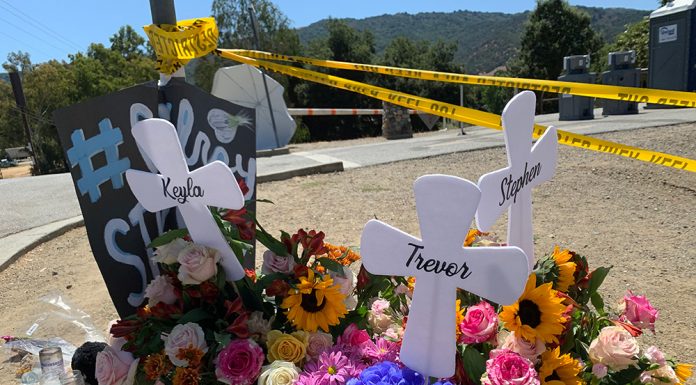 Gun liability plan falls flat in Morgan Hill