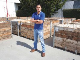 Courthouse construction starts