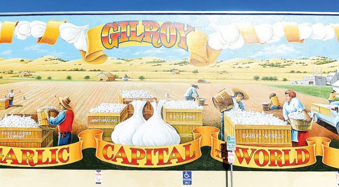 Tough lesson to learn for Live Oak wrestlers in loss to Hollister