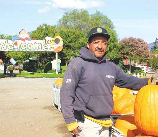 Pumpkin Park opens Sept. 28