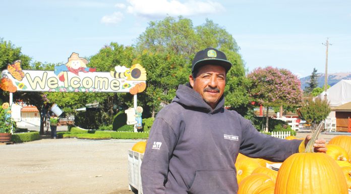 Pumpkin Park is back