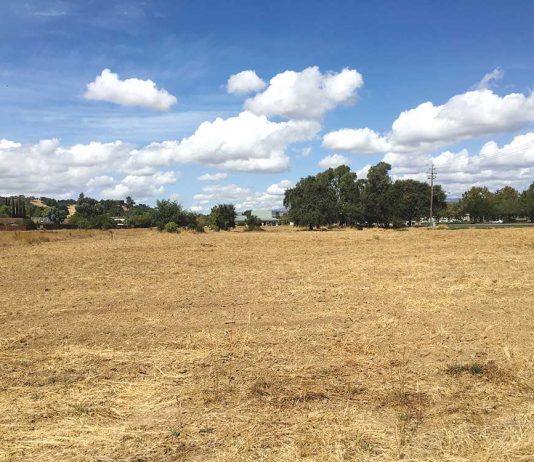 City reviews Voices campus plan