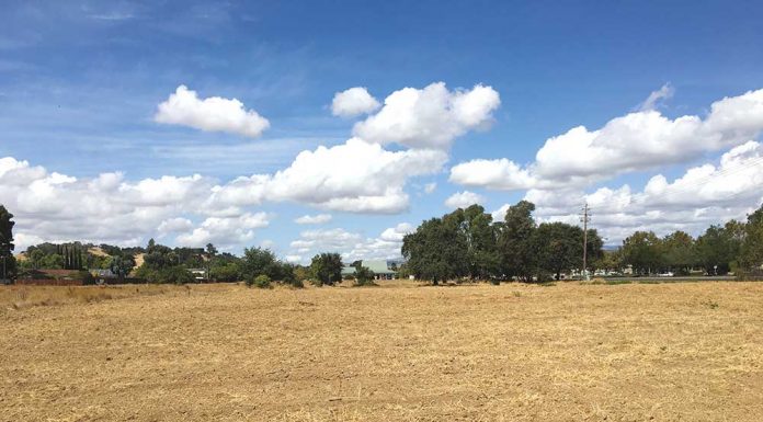 City reviews Voices campus plan