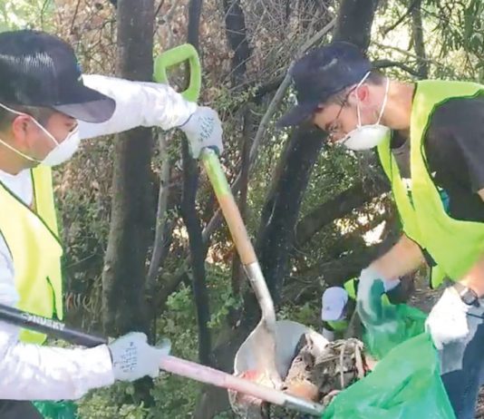 Valley Water to expand creek cleanup program