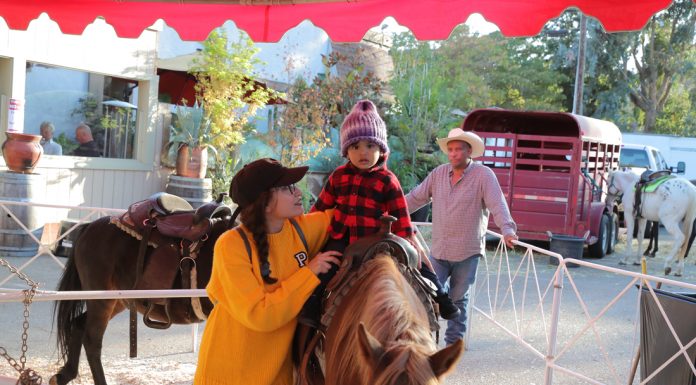 Living high on the hog