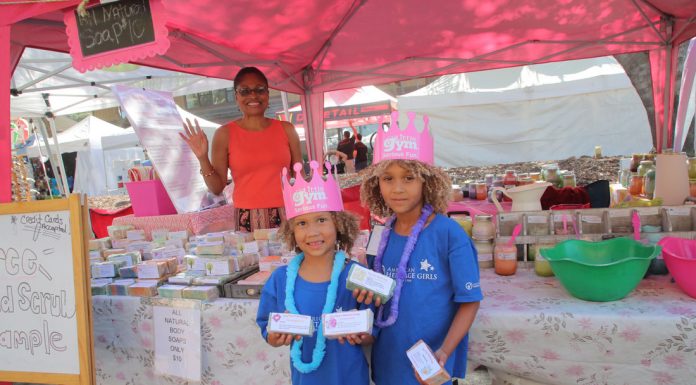 Laird added to state budget committee