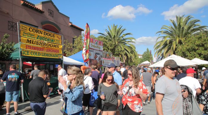 Wagle returns to alma mater as new pitching coach