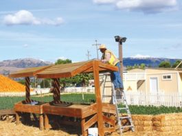 Shared use at Los Paseos