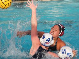 Sobrato set on making playoffs once again