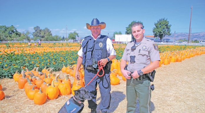 Sheriff adds security to Pumpkin Park