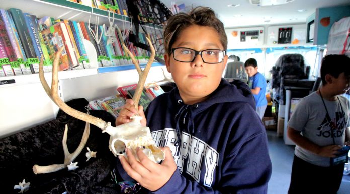 A treat for the youth