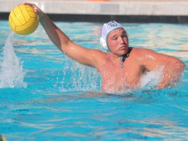 Acorns exceeding expectations