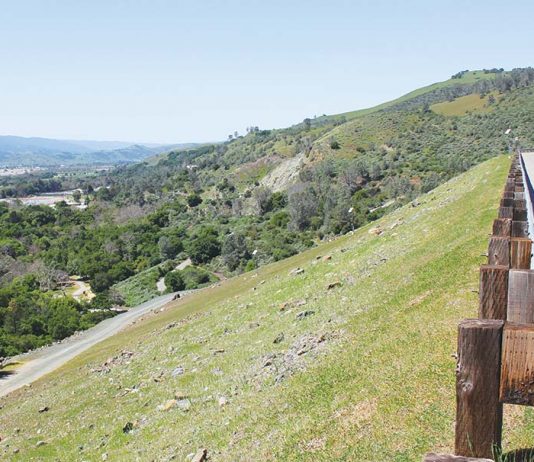Morgan Hill quake greets the new year