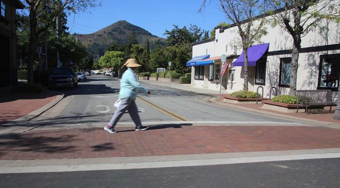 Power outage a struggle for businesses