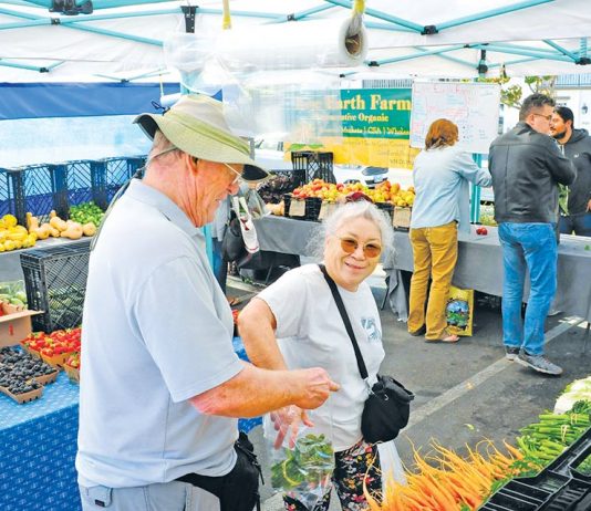 Perfect TCAL season ends with splash for Live Oak