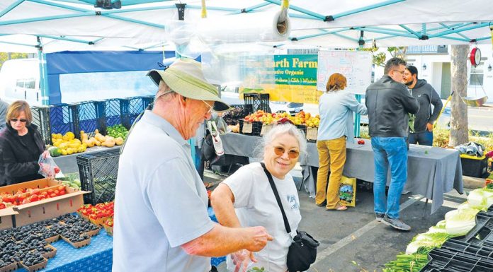 Fall at the farmers’ market