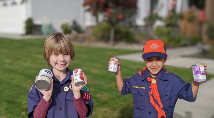 Local scouts conduct food drive