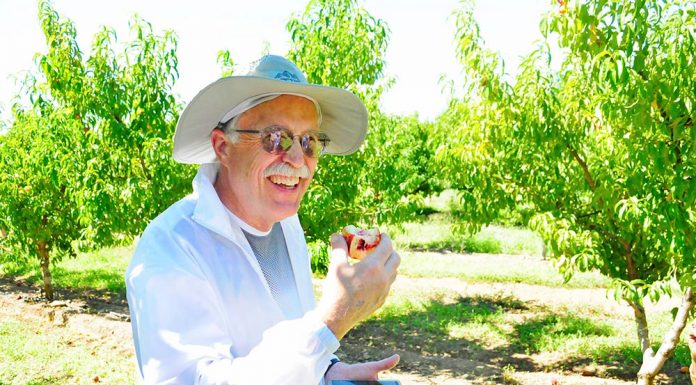 Orchard hosting open house