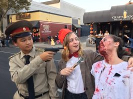 All the pretty horses