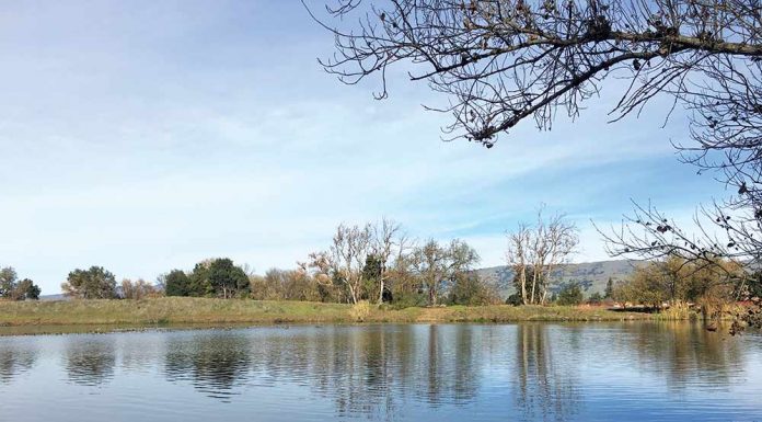 Flood control project underway