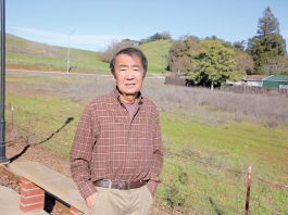 Hale Ave. construction to start this summer