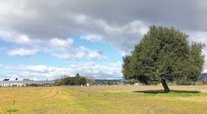 City purchases Condit Road site for ball fields