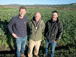 Small farms thrive