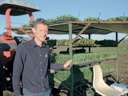 Spade & Plow brings new life to South Valley ranch